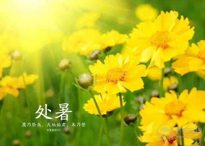 處暑養(yǎng)生吃什么 四款美食養(yǎng)胃又潤燥