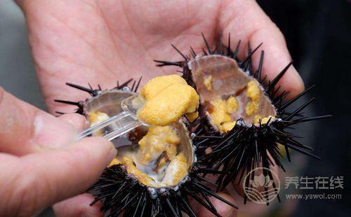 給你1份詳細的“海鮮年歷”，讓你吃到最時令的海鮮