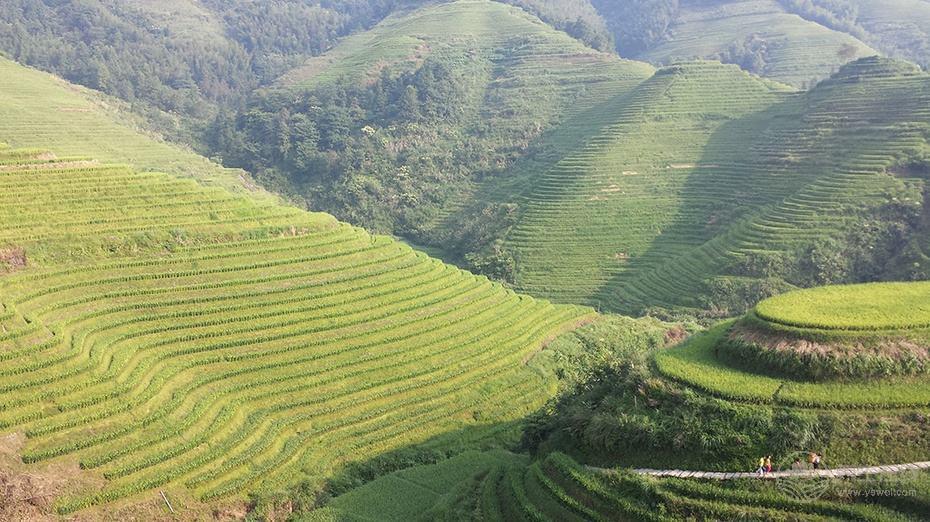 性事積極也是秋季養(yǎng)生之道？這15件事能做到一半你的身體不會太差