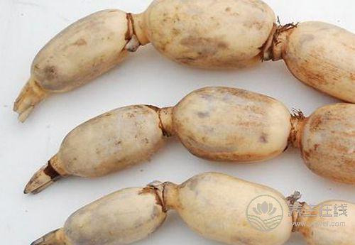 冬天養(yǎng)生，這些食物不能錯過