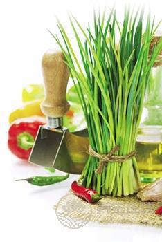 <a href=http://www.xllyou.com/tags-春季養(yǎng)生.html target=_blank class=infotextkey>春季養(yǎng)生</a>保健菜 吃韭菜的七個學(xué)問