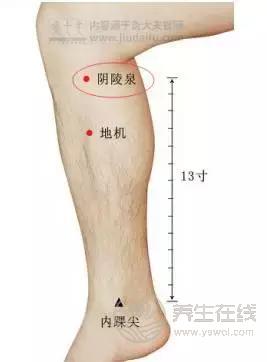 夏季濕氣不除、越補(bǔ)越毒！祛濕氣最厲害的，不是薏米，而是它！