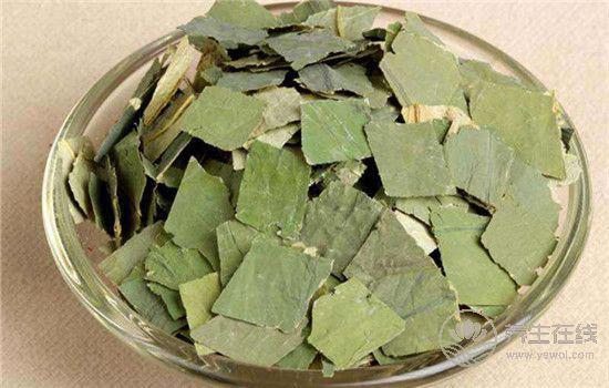 夏季養生茶 推薦7種適合夏天喝的茶 夏季養生茶 推薦7種適合夏天喝的茶