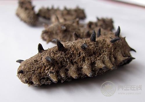 秋冬季吃什么海鮮好 八種海鮮美味營養