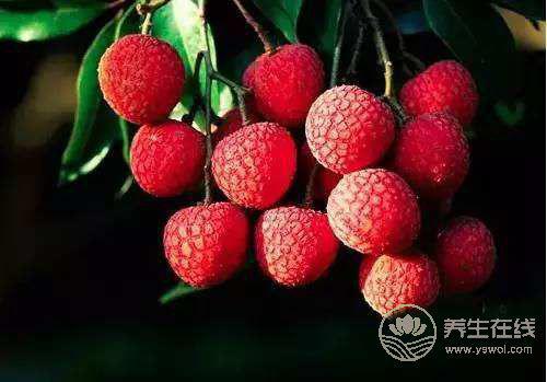 大暑節氣養生 防濕熱防中暑 大暑節氣養生 防濕熱防中暑