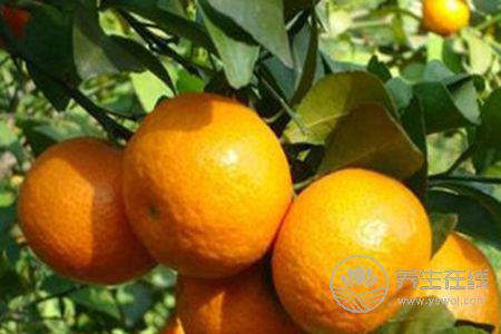 冬季咳嗽吃什么蔬菜水果好?