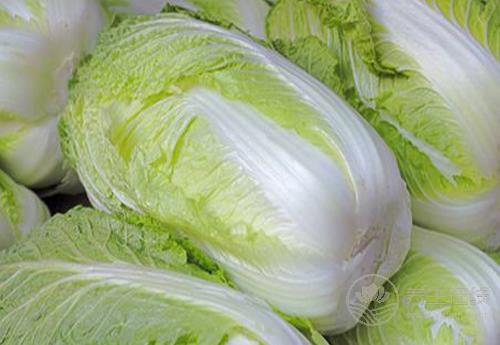 冬天到，常吃3種青菜，好吃營(yíng)養(yǎng)，全家人都愛(ài)