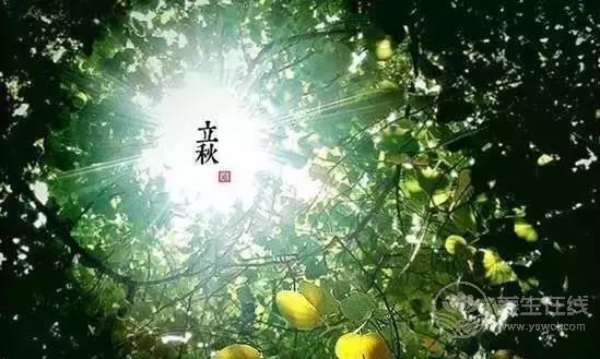 立秋啦!吃啥喝啥做啥才能整個秋冬不生病? 立秋啦!吃啥喝啥做啥才能整個秋冬不生病?