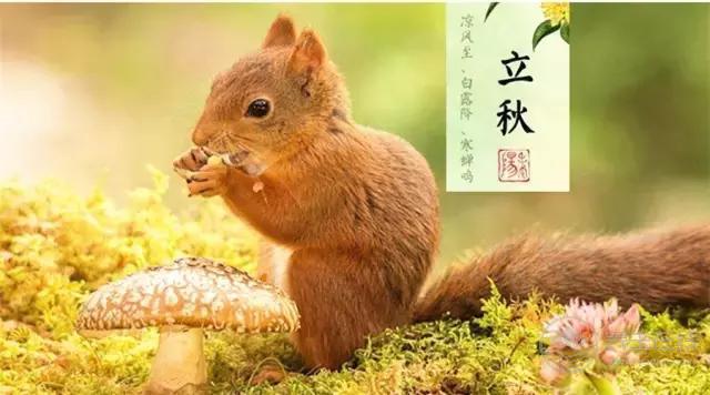 立秋啦!吃啥喝啥做啥才能整個秋冬不生病? 立秋啦!吃啥喝啥做啥才能整個秋冬不生病?