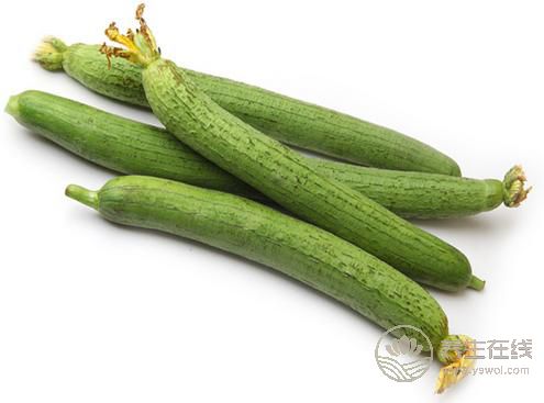 夏季保濕敗火,中醫教你絲瓜怎么吃 夏季保濕敗火,中醫教你絲瓜怎么吃