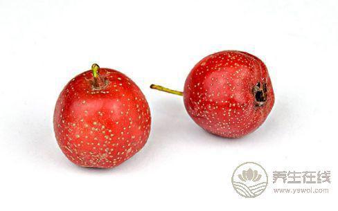 夏季食四味——酸甜苦辣的作用