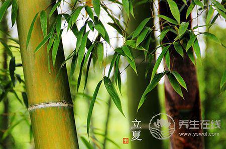 今天立夏：立夏飯、立夏茶、稱(chēng)人，這些習(xí)俗你都懂嗎