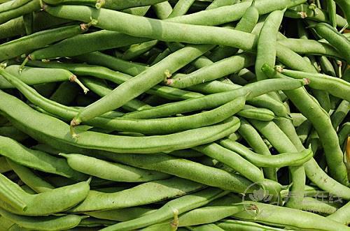 夏天吃四季豆，一定要注意這幾點