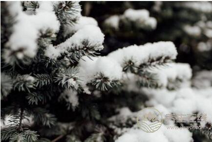 2018年立冬短信祝福語大全 2018年立冬短信祝福語大全