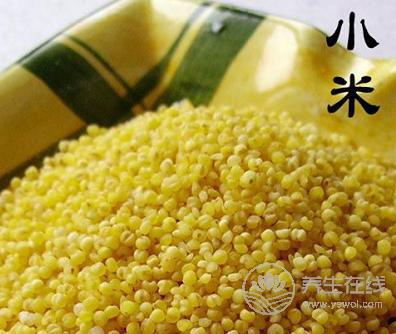 夏天喝什么粥有助于保胃養胃 夏天喝什么粥有助于保胃養胃