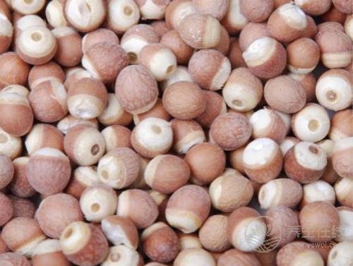 夏季養生 莫忘“水中四寶”！