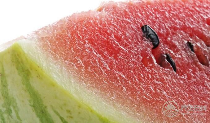 夏天做個吃瓜群眾的9個好處 夏天做個吃瓜群眾的9個好處