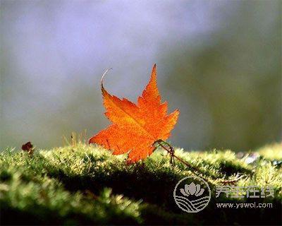 立秋吃蜜不吃姜，多吃水果少食瓜