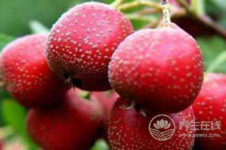 春季肝火旺能吃什么水果呢? 春季肝火旺能吃什么水果呢?