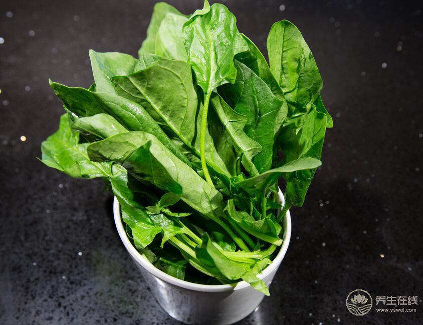 春天適合吃菠菜 別和這些一起吃 春天適合吃菠菜 別和這些一起吃