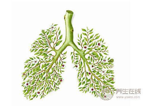 秋季養(yǎng)肺,要做到3件事 秋季養(yǎng)肺,要做到3件事