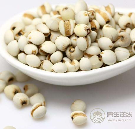 谷雨養生如何養肝護肝?谷雨養生重在養肝祛濕防過敏 谷雨養生如何養肝護肝?谷雨養生重在養肝祛濕防過敏