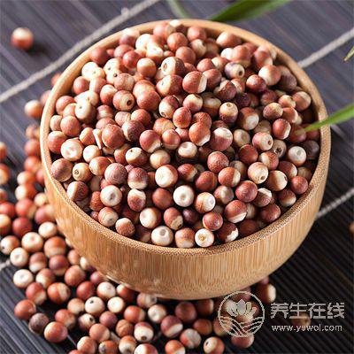 秋季養人要吃好“水下三寶”