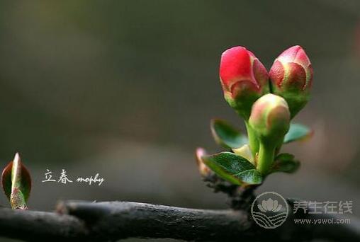 <a href=http://www.xllyou.com/tags-春季養生.html target=_blank class=infotextkey>春季養生</a>:春季<a href=http://www.xllyou.com/tags-食療養生.html target=_blank class=infotextkey>健康飲食</a> 春季養生:春季健康飲食