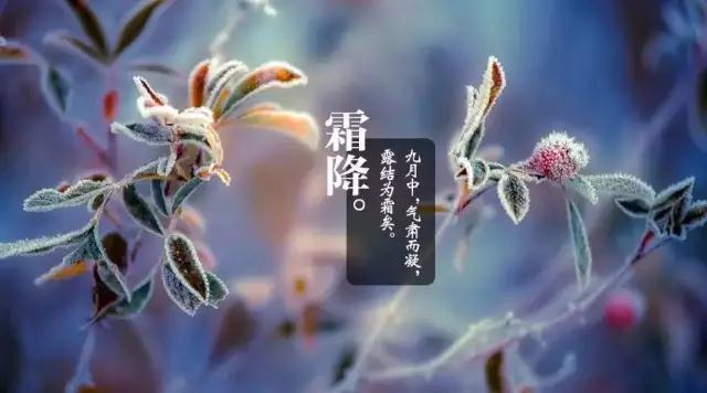 今日霜降，周末冷空氣開始下降，這些養生保健常識不可不知