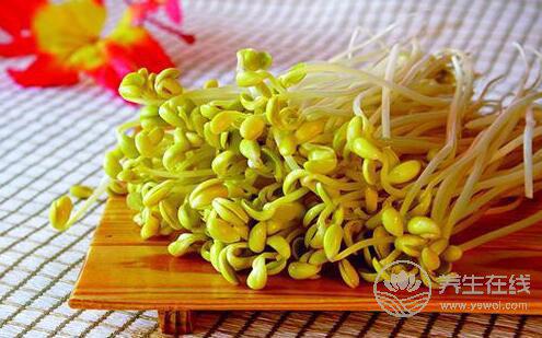 夏季<a href=http://www.xllyou.com/jkys/ target=_blank class=infotextkey>養生</a>:豆芽菜清熱利濕解毒 <a href=http://www.xllyou.com/tags-夏季養生.html target=_blank class=infotextkey>夏季養生</a>:豆芽菜清熱利濕解毒