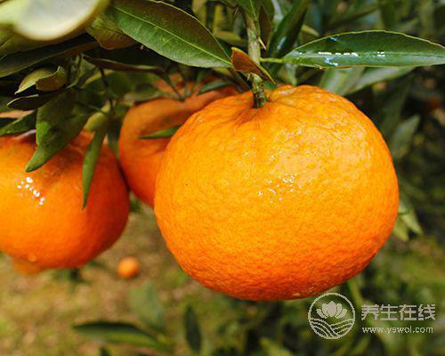 夏季抗感冒，這6種水果必備