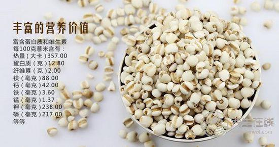 夏季會吃薏仁更養生，推薦幾種健康吃法