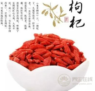 秋冬養陰，最適合冬日進補的食藥材