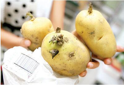 <a href=http://www.xllyou.com/tags-春季養生.html target=_blank class=infotextkey>春季養生</a>10種食物不能碰，易中毒！