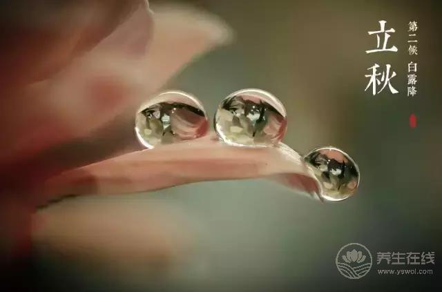 立秋啦!吃啥喝啥做啥才能整個秋冬不生病? 立秋啦!吃啥喝啥做啥才能整個秋冬不生病?