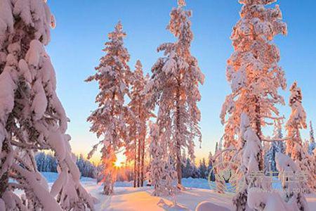大雪節日如何養生? 大雪節日如何養生?
