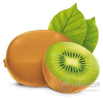 夏季便秘多發(fā),如何食療治療 夏季便秘多發(fā),如何食療治療