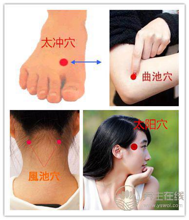 想睡覺、食欲差，春困怎么辦