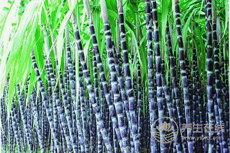 哪些水果適合在冬天吃 哪些水果適合在冬天吃