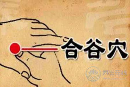 秋天吃什么好能防秋燥?