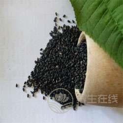 春季養生吃什么好 七種食物不可少 春季養生吃什么好 七種食物不可少