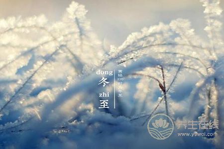 冬至養生吃什么好? 冬至養生吃什么好?