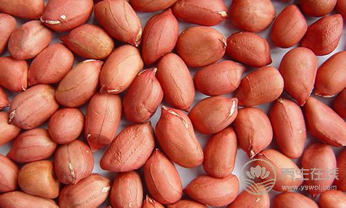 夏天多吃它，對心腦血管很有好處