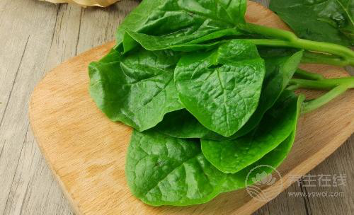 秋冬不生病，立秋多吃4種祛濕蔬菜