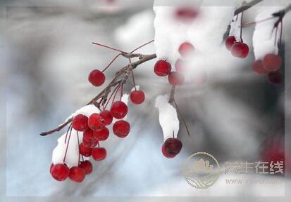 小雪節氣要注意預防四種常見病