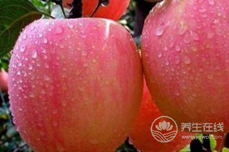 冬季咳嗽吃什么蔬菜水果好?