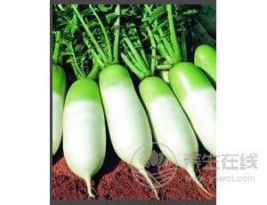 秋天五種養生水果推薦 秋天五種養生水果推薦