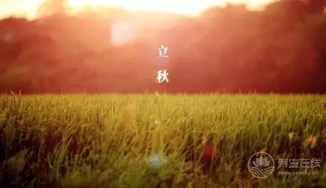 立秋啦!吃啥喝啥做啥才能整個秋冬不生病? 立秋啦!吃啥喝啥做啥才能整個秋冬不生病?