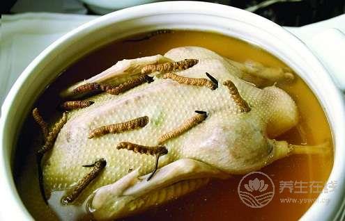 三伏天吃鴨子 不上火勝補藥 三伏天吃鴨子 不上火勝補藥