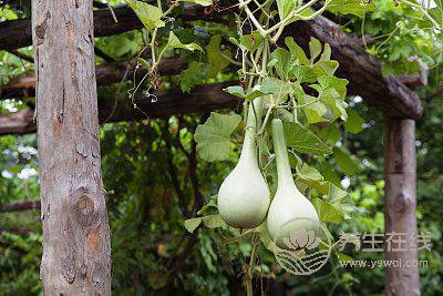空調病來襲？夏日當季食品吃起來